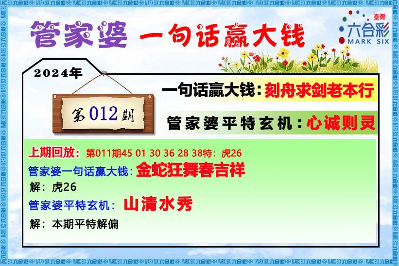 管家婆一肖一码最准资料公中,全面释义解释与落实展望